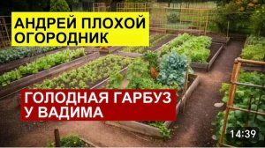 САМВЕЛ АДАМЯН, ОБЗОР ОТ СК, СЫТНИК АНДРЕЙ ПЛОХОЙ ОГОРОДНИК,ГОЛОДНАЯ ГАРБУЗ ПРИШЛА К ВАДИМУ..