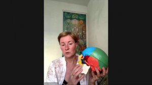 Зубы как единая система организма