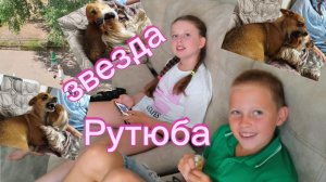 11-08-2026 ЗВЕЗДА РУТЮБА