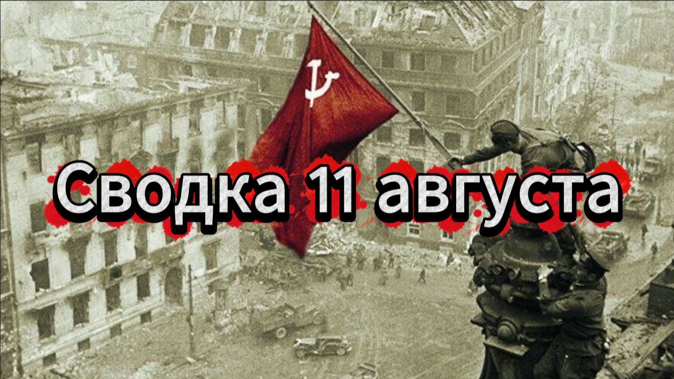 Сводка 11 августа. Нацистское быдло