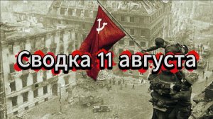 Сводка 11 августа. Нацистское быдло