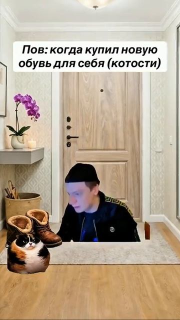 Котость
