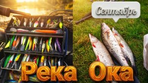 Рыбалка в сентябре на Оке троллингом
