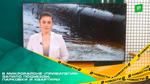 В микрорайоне «Привилегия» после ночной грозы залило подъезды, парковки и квартиры