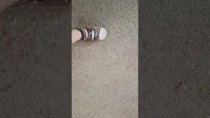 VID_20260810_115337