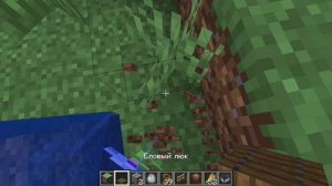 Minecraft_ 26.2 - Одиночная игра 2026-08-11 17-15-59