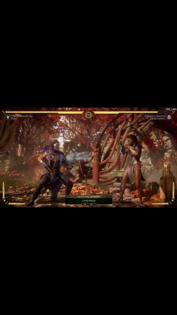 Mortal Combat 11 рейн фаталити