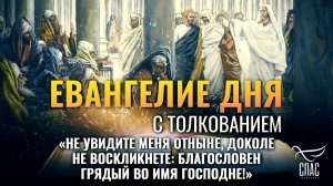 «Не увидите Меня отныне, доколе не воскликнете: благословен Грядый во имя Господне!» / Евангелие дня