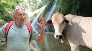 ИСХОД РУССКИХ МУЖИКОВ В ДЖУНГЛИ. Бака беременна  Готовим место под гараж  Жизнь с филиппинкой