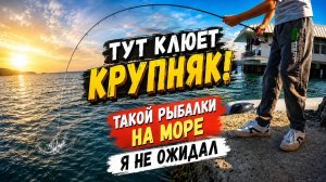 Тут КЛЮЕТ КРУПНЯК! Такой рыбалки на море я не ожидал