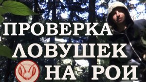 Проверяю ловушки на рои