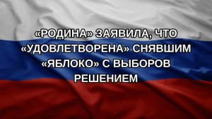 «Родина» заявила, что «удовлетворена» снявшим «Яблоко» с выборов решением