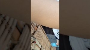 Находка века!