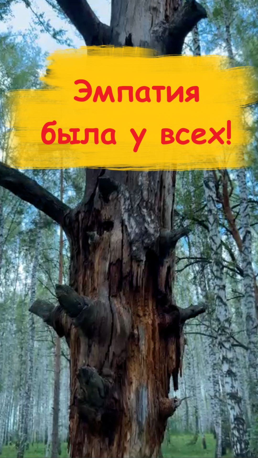 Эмпатия была у всех #эмпатия  #душа  #видеоэмпатия