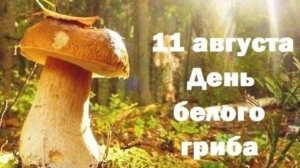 11.08.26 - День белого гриба