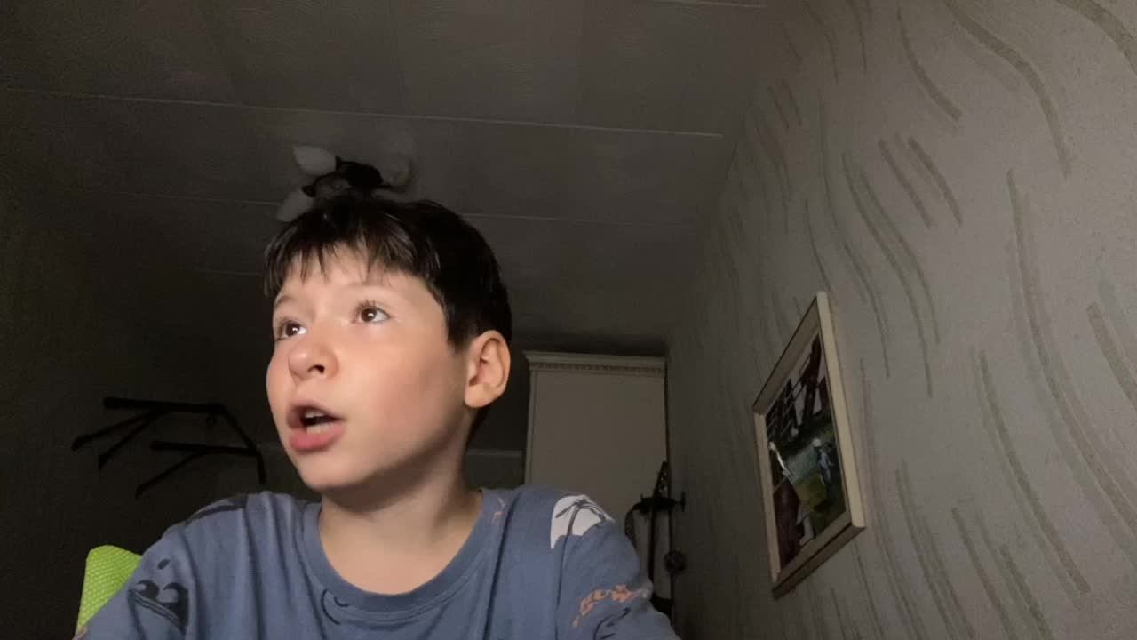 сидлим стримии
