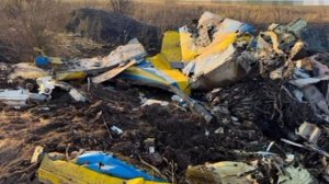 ‼️🇺🇦🔥 Вдребезги: Появились кадры места крушения украинского МиГ-29 в Одесской области