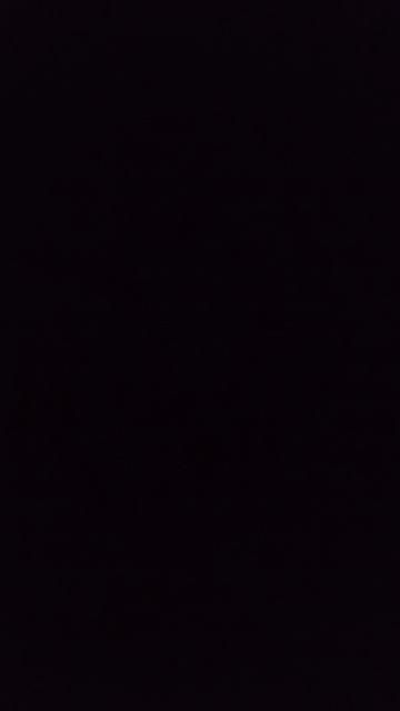новый питомец часть 1