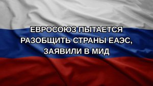 Евросоюз пытается разобщить страны ЕАЭС, заявили в МИД