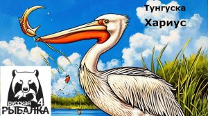 РР4 Хариус на р. Нижняя Тунгуска.