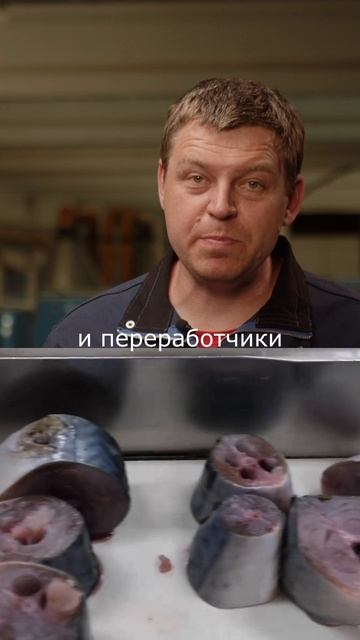 Заводам не хватает сырья, оптовики срочно ищут рыбу. Ваши 5 тонн в год оторвут с руками!