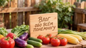 Влог Обо всем понемногу Плоды гиганты Огородные новости