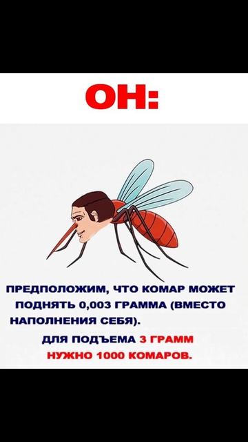 Лютые приколы 43