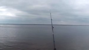 Рыбалка на спиннинг, бывает и так..