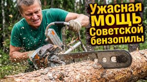 Ужасная МОЩЬ бензопилы Урал. Пилю дрова