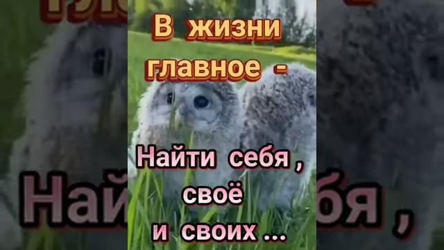 Прекрасно