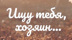 Ищу тебя, хозяин