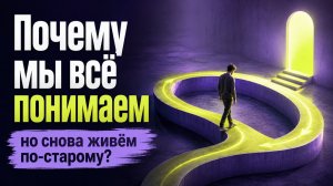 Почему мы всё понимаем, но снова живём по-старому