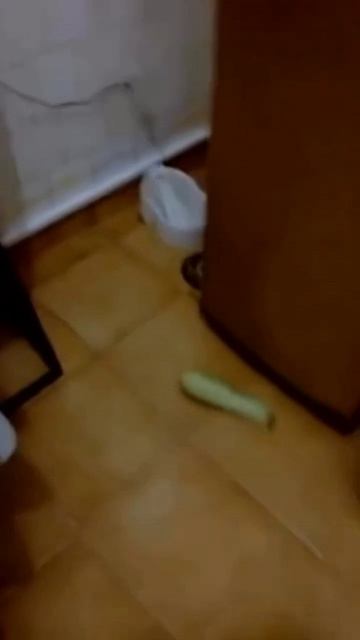 Юмор 5 звезд - #юмор #смешно #ржач #прикол #анекдот #веселоевидео