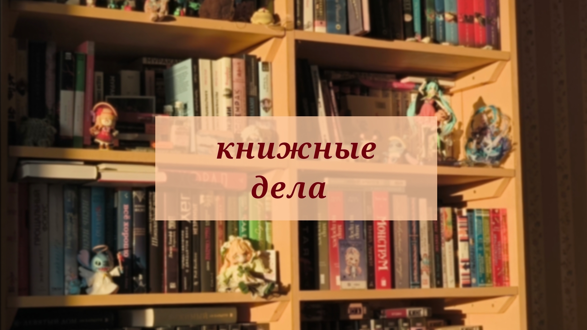 книжные дела ||