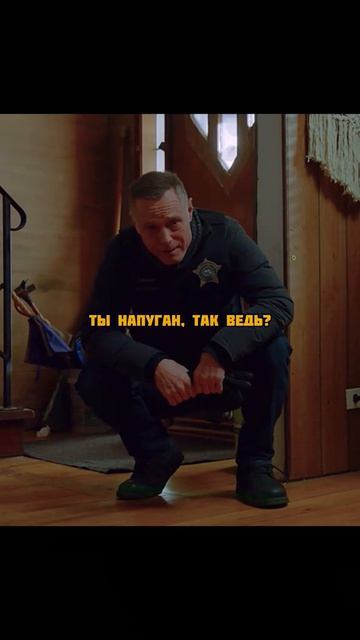 Сериал 🎬Полиция Чикаго