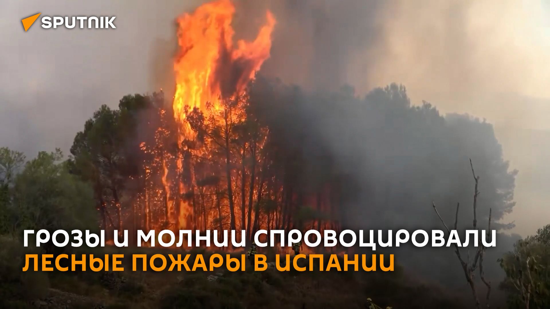 Пожар после сильнейшей грозы выжег сотни гектаров леса на востоке Испании