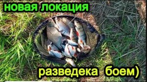Рыбалка фидером на малой реке Рыбалка удалась