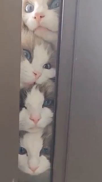 БЫВАЕТ