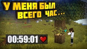 АНАРХИЯ - РАЗВИТИЕ С НУЛЯ ЗА ЧАС [Дмитрий Ваш lite]