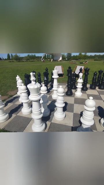 большие шахматы