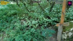 Москва. Приходское кладбище. Покровский парк. Август 2026.