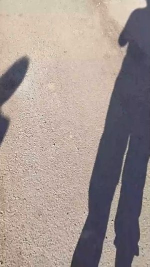 ходим с Кирой