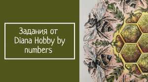Задания от Diana Hobby by numbers