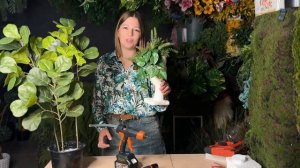 Творчество для заработка и новой жизни