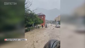 В Унцукульском районе мужчина спас ребенка