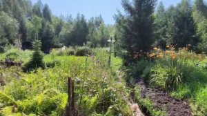 Продаётся дача в направлении Серовский тракт, садоводческое товарищество Горизонт