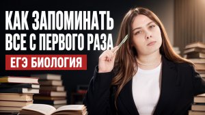 Учись меньше — запоминай больше: как учиться, чтобы запоминать с первого раза | Умскул
