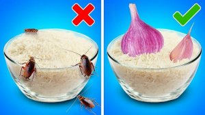 ЛУЧШИЕ СОВЕТЫ ДЛЯ ДОЛГОГО ХРАНЕНИЯ ПРОДУКТОВ Кухонные лайфхаки и вкусные рецепты