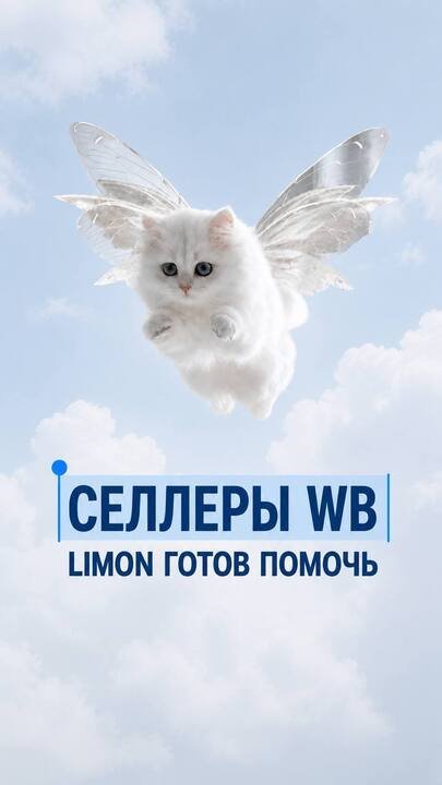 Селлеры WB, хотите выйти на Ozon? LIMON MP поможет с запуском