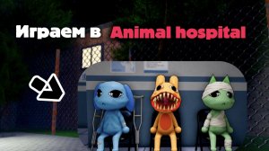 Играем в Animal hospital | Rodlox